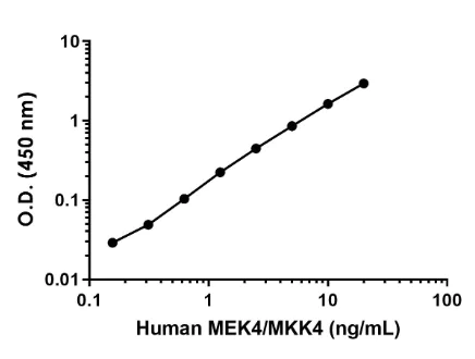 Sandwich ELISA - Anti-MEK4/MKK4 antibody [EPR24743-97] - BSA and Azide free (Detector) (AB307899)