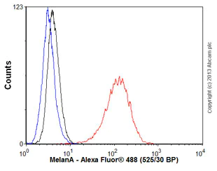 Flow Cytometry (Intracellular) - Anti-MelanA antibody [EP1422Y] - BSA and Azide free (AB271839)