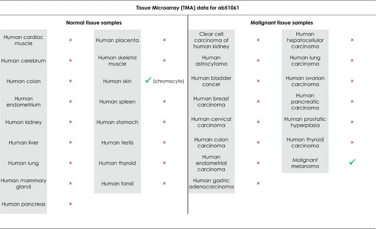 Immunohistochemistry (Formalin/PFA-fixed paraffin-embedded sections) - Anti-MelanA antibody [EP1422Y] - BSA and Azide free (AB271839)