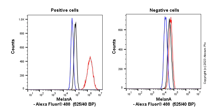 Flow Cytometry (Intracellular) - Anti-MelanA antibody [EPR20380] (AB210546)
