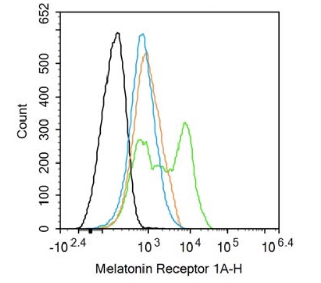 Flow Cytometry - Anti-Melatonin Receptor 1A/MTNR1A antibody (AB203038)
