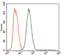 Flow Cytometry - Anti-MELK antibody [2G2] (AB129373), expandable thumbnail