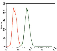 Flow Cytometry - Anti-MELK antibody [2G2] (AB129373)
