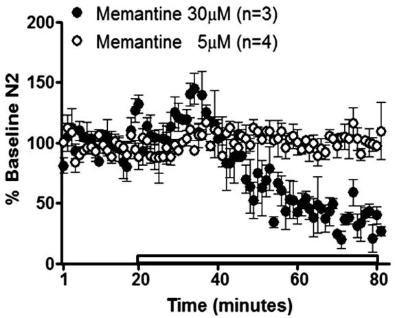 Functional Studies - Memantine hydrochloride, NMDA antagonist (AB120249)