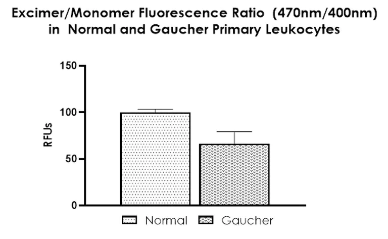 Fluorescent Cell Imaging - Membrane fluidity kit (AB189819)
