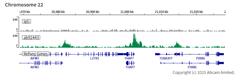 ChIC/CUT&RUN sequencing - Anti-Menin antibody [EPR3986] (AB92443)