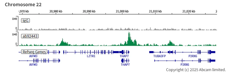 ChIC/CUT&RUN sequencing - Anti-Menin antibody [EPR3986] (AB92443)
