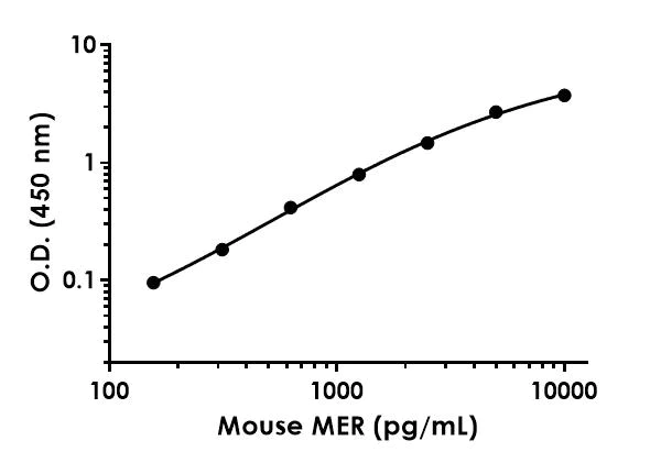 Sandwich ELISA - Anti-MERTK antibody [EPR17534-139] - BSA and Azide free (Capture) (AB242566)