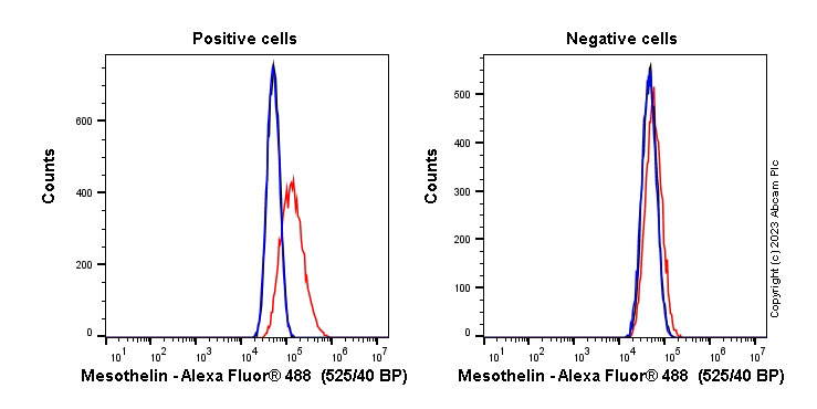 Flow Cytometry - Anti-Mesothelin antibody [EPR19025-42] (ab196235), expandable thumbnail