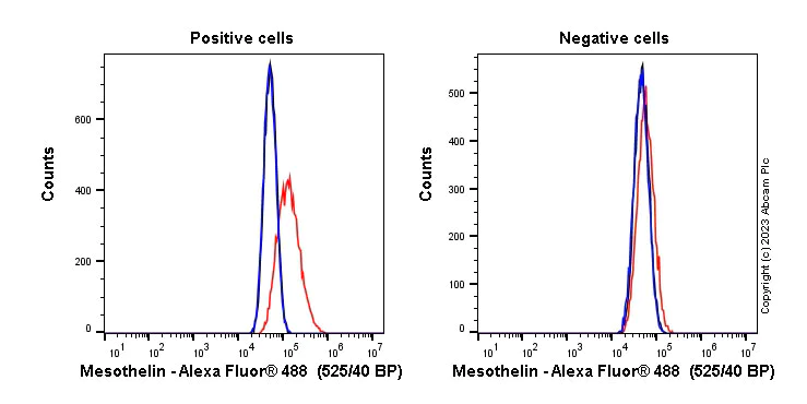 Flow Cytometry - Anti-Mesothelin antibody [EPR19025-42] - BSA and Azide free (AB227810)