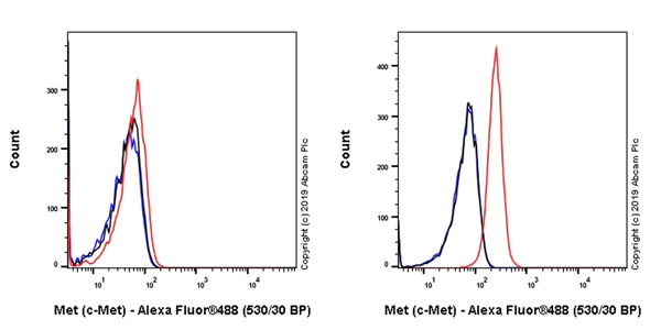 Flow Cytometry - Anti-Met (c-Met) antibody [EPR22436-24] - BSA and Azide free (AB254492)