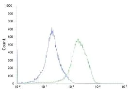 Flow Cytometry (Intracellular) - Anti-Met (c-Met) antibody [SP44] - C-terminal (AB227637)