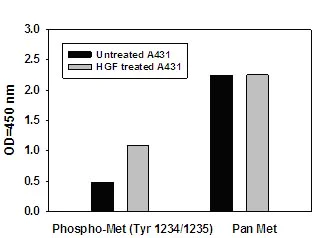 Sandwich ELISA - Met (pY1234/pY1235) + total Met ELISA Kit (AB126451)