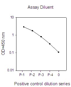 Sandwich ELISA - Met (pY1234/pY1235) + total Met ELISA Kit (AB126451)