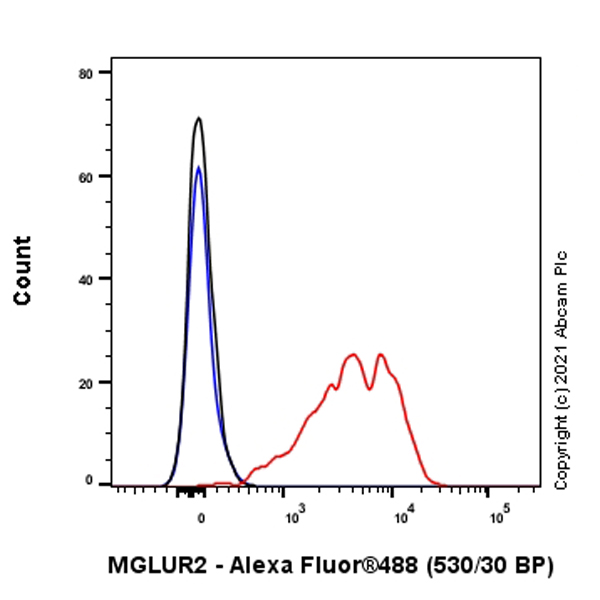 Flow Cytometry (Intracellular) - Anti-Metabotropic Glutamate Receptor 2 + 3 / MGLUR2 + MGLUR3 antibody [EPR8975] (AB150387)