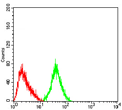 Flow Cytometry - Anti-Metabotropic Glutamate Receptor 3/MGLUR3 antibody [7A5A6] (AB233637)