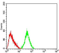 Flow Cytometry - Anti-Metabotropic Glutamate Receptor 3/MGLUR3 antibody [7A5A6] (AB233637)