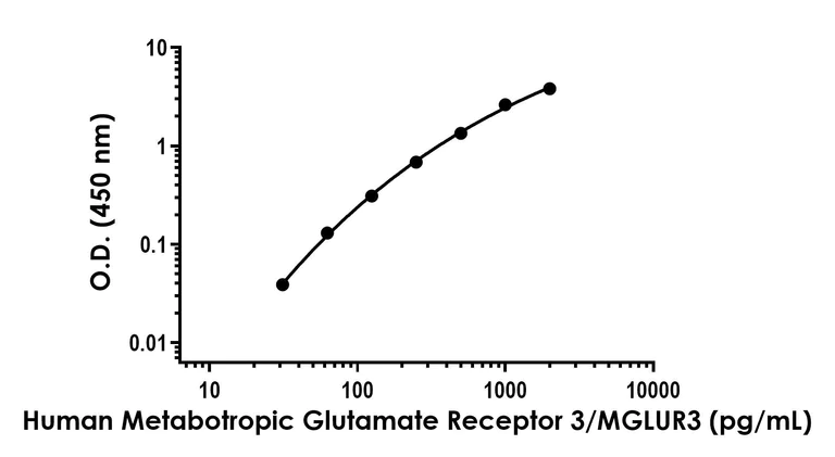 Sandwich ELISA - Anti-Metabotropic Glutamate Receptor 3/MGLUR3 antibody [EPR24635-130] - BSA and Azide free (Detector (AB316808)