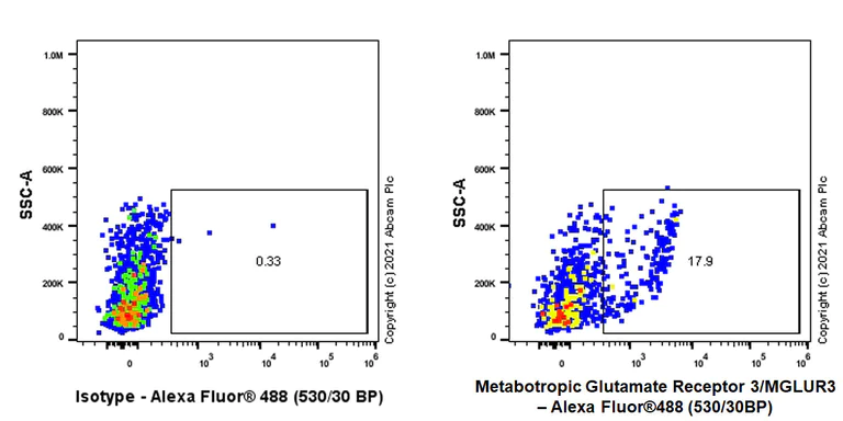 Flow Cytometry - Anti-Metabotropic Glutamate Receptor 3/MGLUR3 antibody [EPR24635-17] (AB283572)