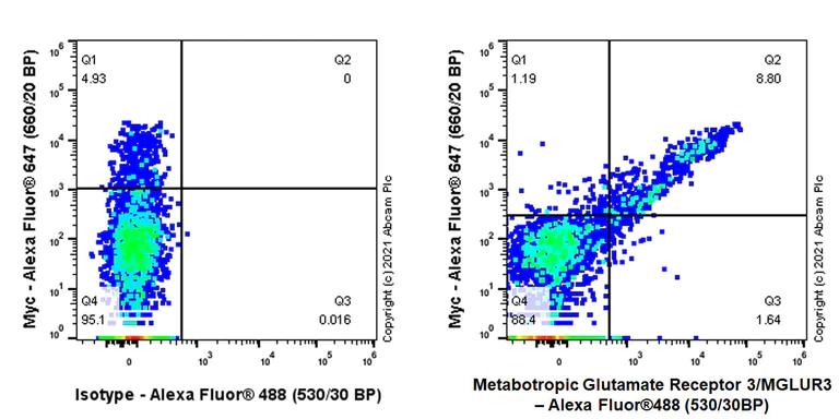 Flow Cytometry - Anti-Metabotropic Glutamate Receptor 3/MGLUR3 antibody [EPR24635-17] (AB283572)