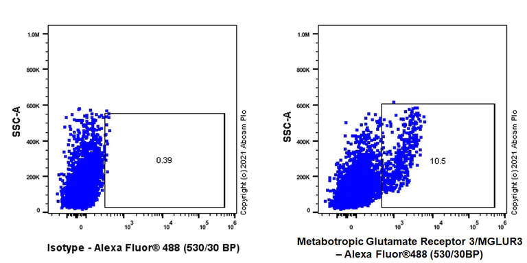 Flow Cytometry - Anti-Metabotropic Glutamate Receptor 3/MGLUR3 antibody [EPR24635-17] (AB283572)