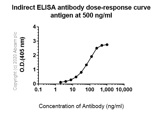 Indirect ELISA - Anti-Metabotropic Glutamate Receptor 3/MGLUR3 antibody [EPR9009(2)] (AB166608)