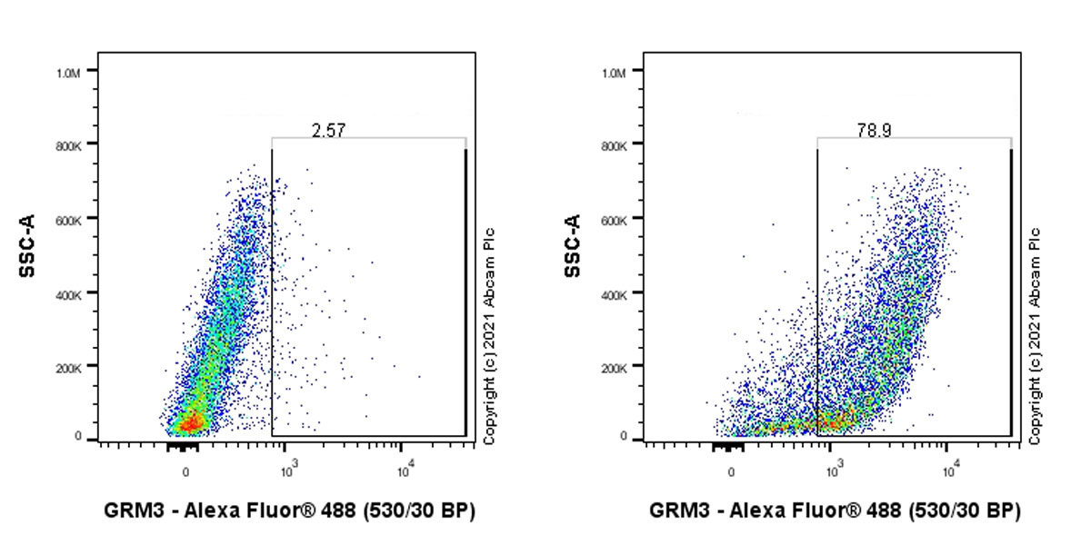 Flow Cytometry - Anti-Metabotropic Glutamate Receptor 3/MGLUR3 antibody [EPR9009(2)] - BSA and Azide free (AB249349), expandable thumbnail