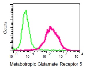Flow Cytometry (Intracellular) - Anti-Metabotropic Glutamate Receptor 5 antibody [EPR2425Y] (ab76316), expandable thumbnail