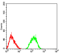 Flow Cytometry - Anti-Metabotropic Glutamate Receptor 7/MGLUR7 antibody [7G8D3] (AB233722)