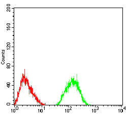 Flow Cytometry - Anti-Metabotropic Glutamate Receptor 7/MGLUR7 antibody [7G8D3] (AB233722)