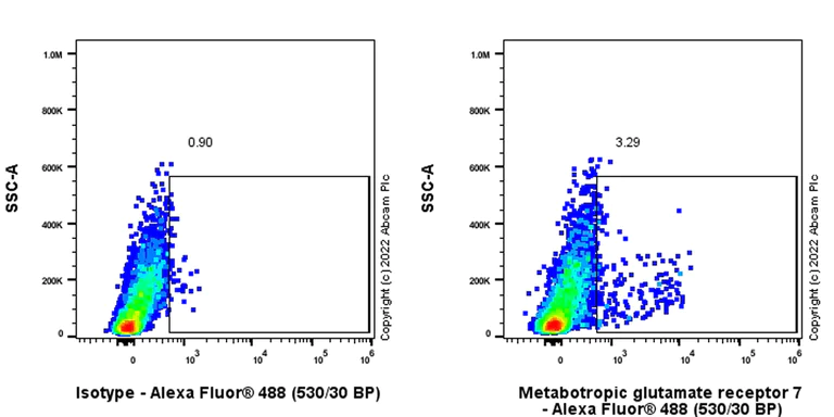 Flow Cytometry - Anti-Metabotropic Glutamate Receptor 7/MGLUR7 antibody [EPR24530-89] (AB302784)