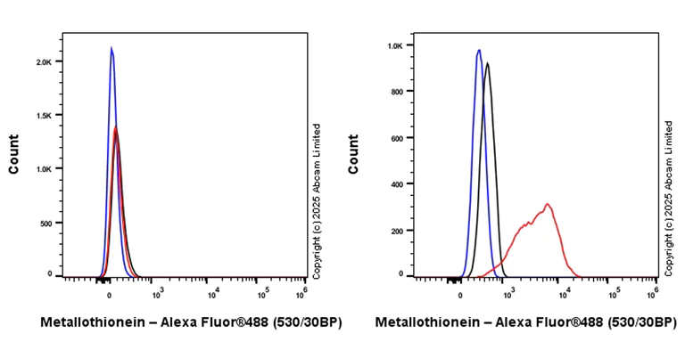 Flow Cytometry (Intracellular) - Anti-Metallothionein antibody [EPR29104-22] (AB325177)