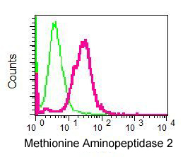 Flow Cytometry (Intracellular) - Anti-Methionine Aminopeptidase 2/p67 antibody [EPR6886(B)] (AB124953)