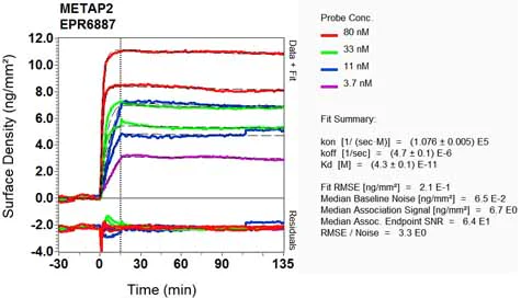 OI-RD Scanning - Anti-Methionine Aminopeptidase 2/p67 antibody [EPR6887] (AB134124)