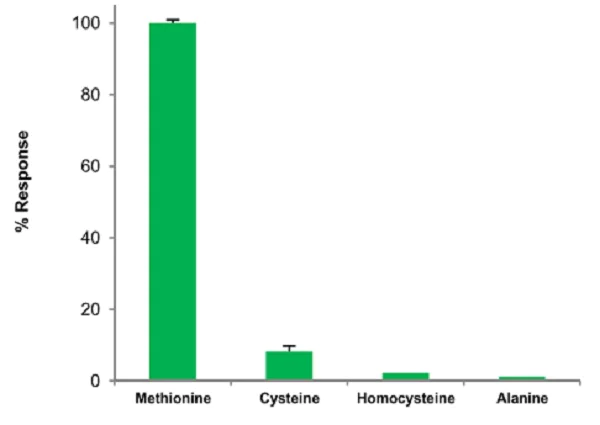 Functional Studies - Methionine Assay Kit (Fluorometric) (AB234041)