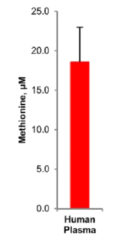 Functional Studies - Methionine Assay Kit (Fluorometric) (AB234041)