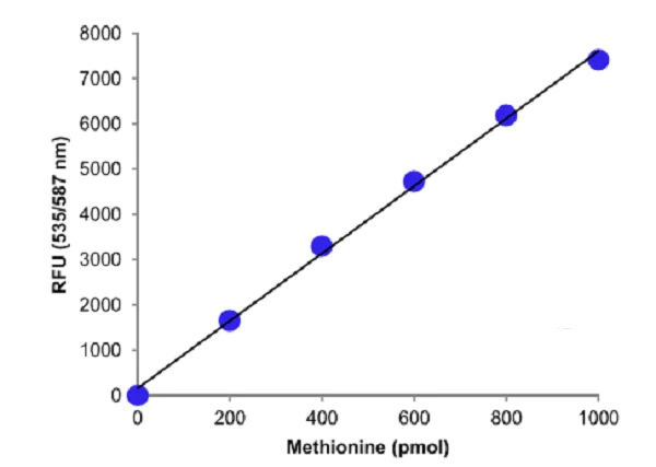 Functional Studies - Methionine Assay Kit (Fluorometric) (AB234041)