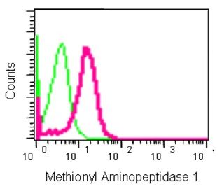 Flow Cytometry (Intracellular) - Anti-Methionyl Aminopeptidase 1/MAP 1 antibody [EPR15452(B)] (AB185540)