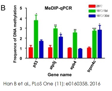 Functional Studies - Methylated DNA Immunoprecipitation (MeDIP) Kit - DNA (AB117133), expandable thumbnail