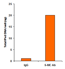 Functional Studies - Methylated DNA Immunoprecipitation (MeDIP) Kit - DNA (AB117133), expandable thumbnail
