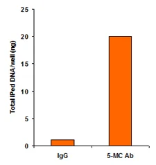 Functional Studies - Methylated DNA Immunoprecipitation (MeDIP) Kit - DNA (AB117133)