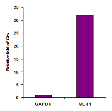 Functional Studies - Methylated DNA Immunoprecipitation (MeDIP) Kit - DNA (AB117133), expandable thumbnail