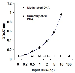 Functional Studies - Methylated DNA Quantification Kit (Colorimetric) (AB117128)