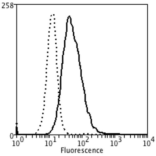 Anti-Methylglyoxal antibody [9F11] (ab243074) | Abcam