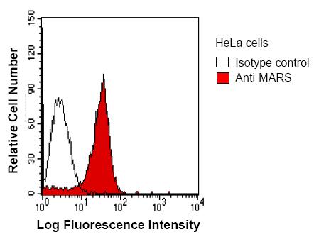 Flow Cytometry - Anti-MetRS/MARS antibody [MARSD10B4] (AB50793)