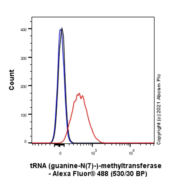 Flow Cytometry (Intracellular) - Anti-METTL1 antibody [EPR24320-27] - BSA and Azide free (AB280958)
