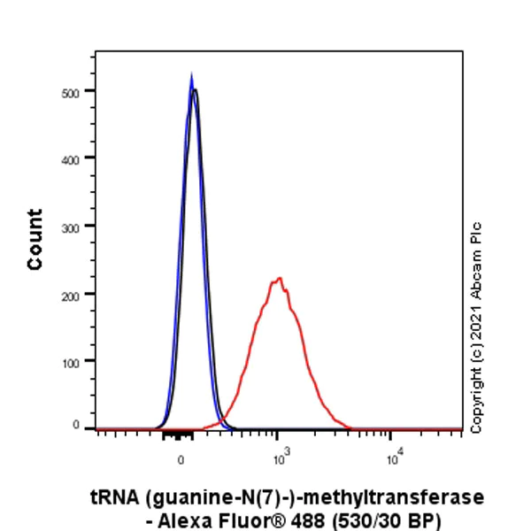 Flow Cytometry (Intracellular) - Anti-METTL1 antibody [EPR24320-27] - BSA and Azide free (AB280958)