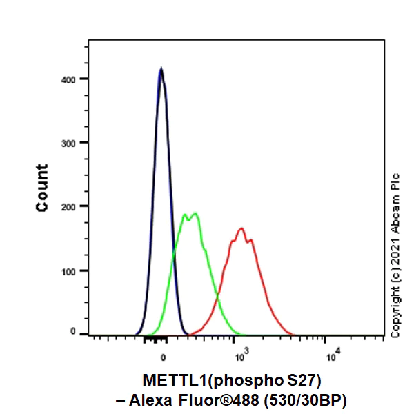 Flow Cytometry (Intracellular) - Anti-METTL1 (phospho S27) antibody [EPR24280-9] (AB271062)