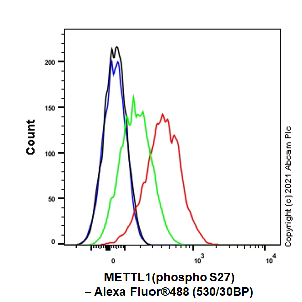 Flow Cytometry (Intracellular) - Anti-METTL1 (phospho S27) antibody [EPR24280-9] (ab271062), expandable thumbnail
