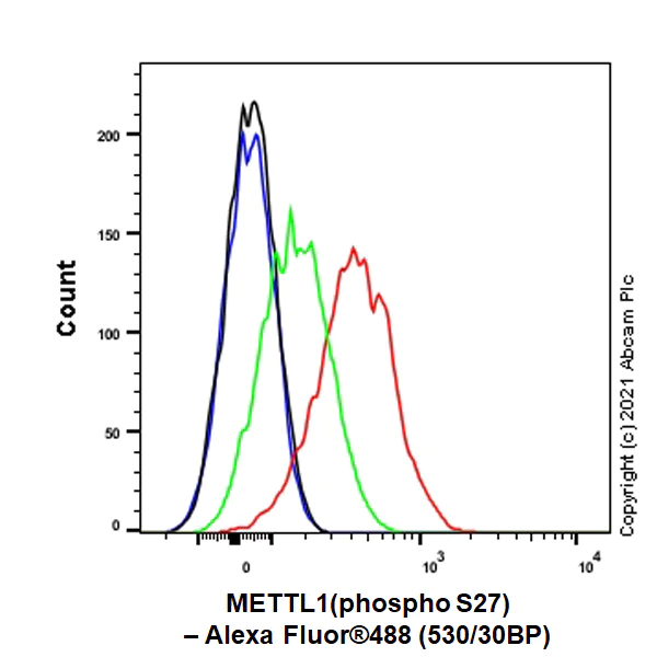 Flow Cytometry (Intracellular) - Anti-METTL1 (phospho S27) antibody [EPR24280-9] (AB271062)